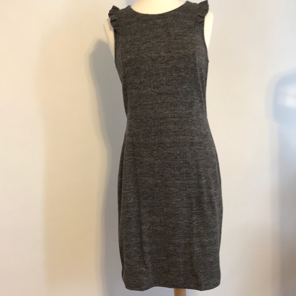 NWOT! Ann Taylor Loft career dress